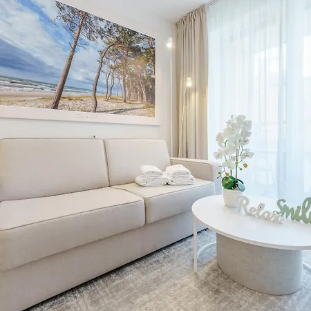 Apartament Mlynska 10 *